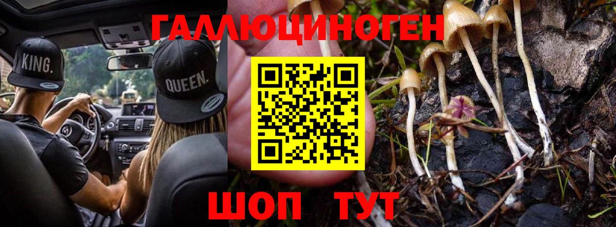 Гагарин  Галлюциногенные грибы ЛСД  Вход с VPN 