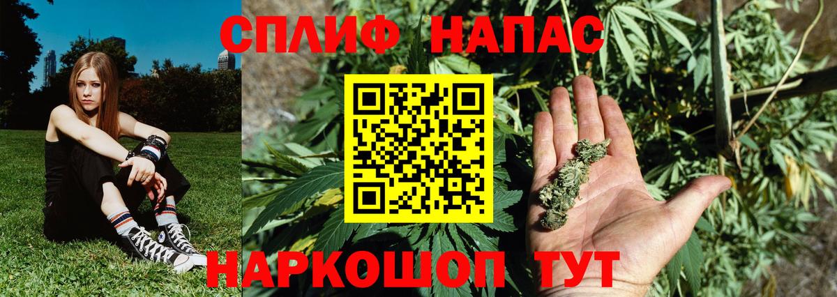 Каннабис Bruce Banner  Вход с VPN  Канабис AK-47  Гагарин  Бошки марихуана OG Kush 